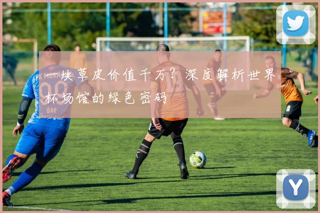 一块草皮价值千万？深度解析世界杯场馆的绿色密码