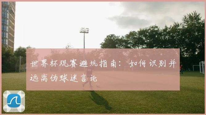 世界杯观赛避坑指南：如何识别并远离伪球迷言论