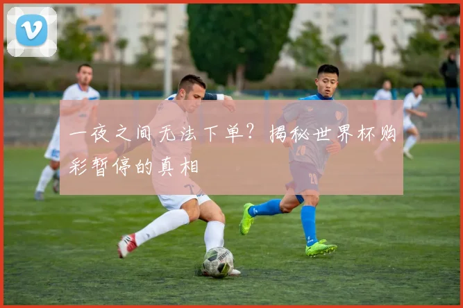 一夜之间无法下单？揭秘世界杯购彩暂停的真相