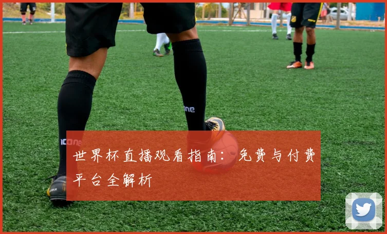 世界杯直播观看指南：免费与付费平台全解析