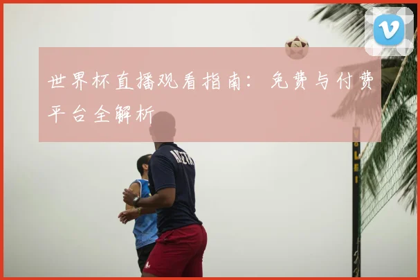 世界杯直播观看指南：免费与付费平台全解析