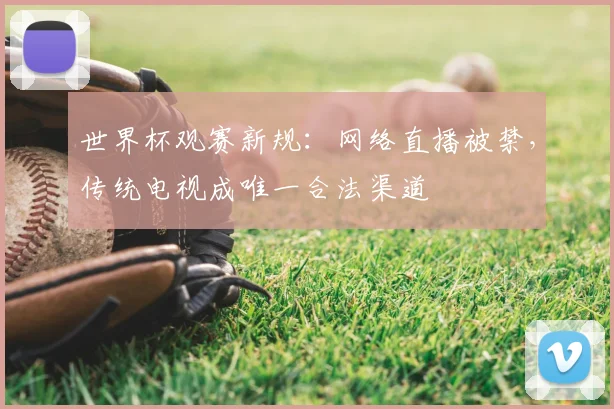 世界杯观赛新规：网络直播被禁，传统电视成唯一合法渠道