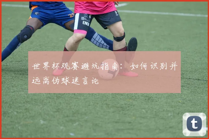 世界杯观赛避坑指南：如何识别并远离伪球迷言论