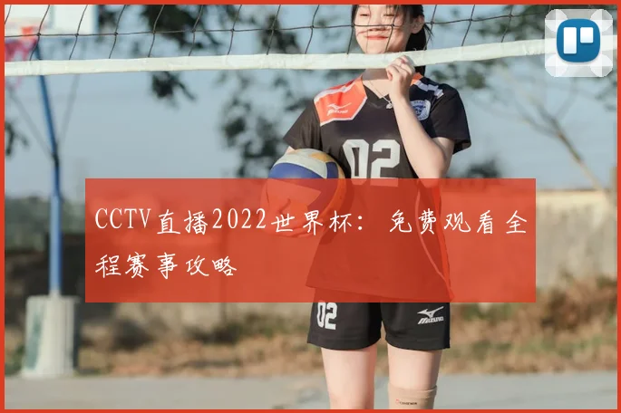 CCTV直播2022世界杯：免费观看全程赛事攻略