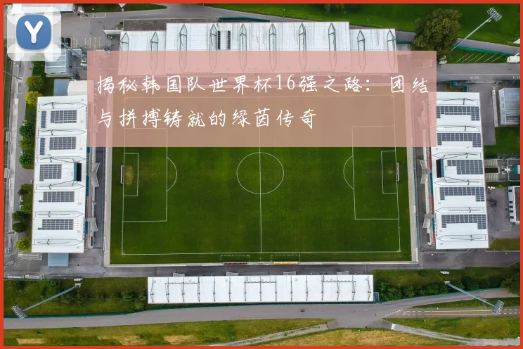 揭秘韩国队世界杯16强之路：团结与拼搏铸就的绿茵传奇