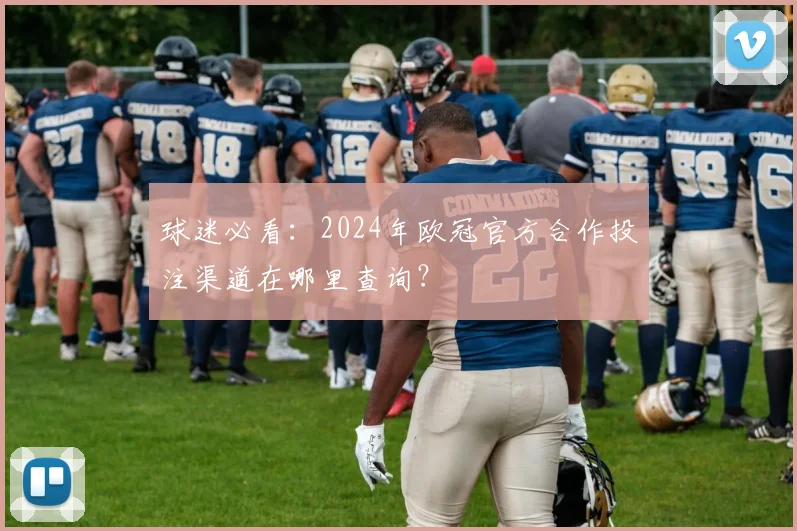 球迷必看：2024年欧冠官方合作投注渠道在哪里查询？